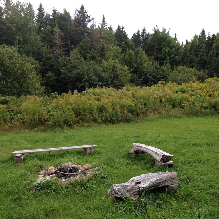 Breton Cove Farmhouse Casa de hóspedes Indian Brook Exterior foto