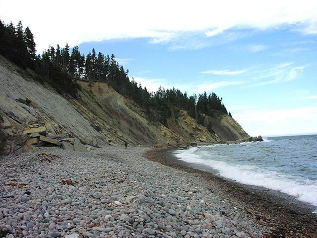 Breton Cove Farmhouse Casa de hóspedes Indian Brook Exterior foto